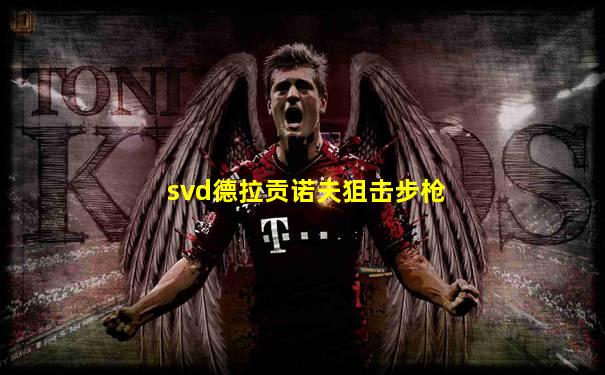 svd德拉贡诺夫狙击步枪