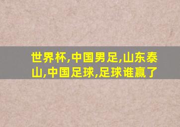 世界杯,中国男足,山东泰山,中国足球,足球谁赢了