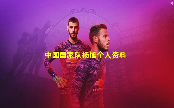 中国国家队杨旭个人资料