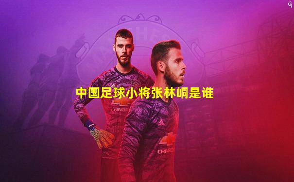 中国足球小将张林峒是谁