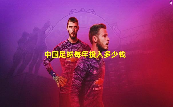 中国足球每年投入多少钱