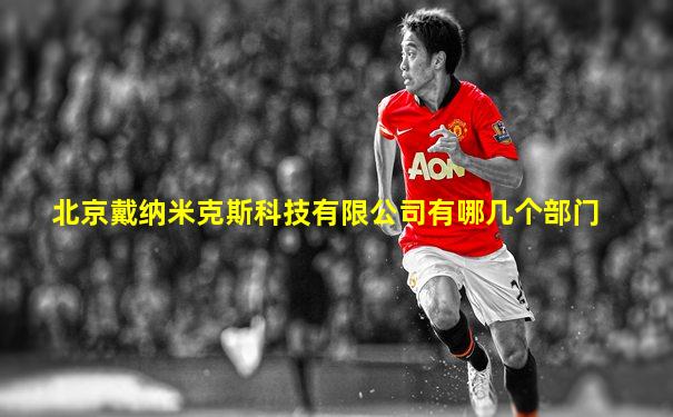 北京戴纳米克斯科技有限公司有哪几个部门