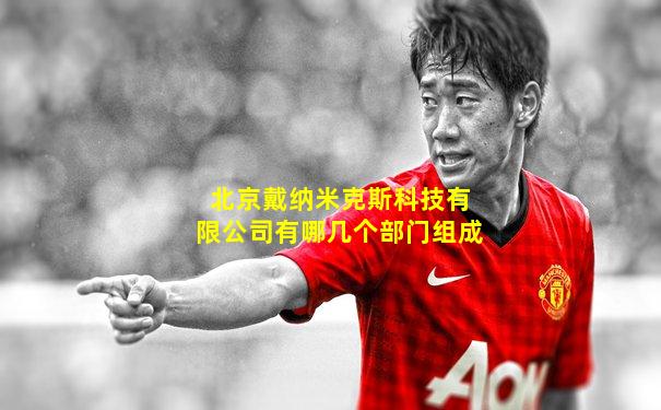 北京戴纳米克斯科技有限公司有哪几个部门组成