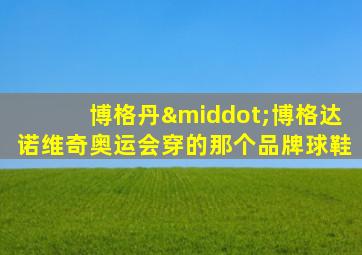 博格丹·博格达诺维奇奥运会穿的那个品牌球鞋