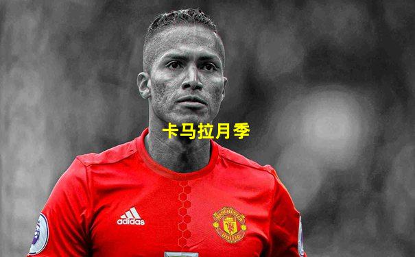 卡马拉月季