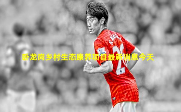 卧龙岗乡村生态康养项目最新消息今天