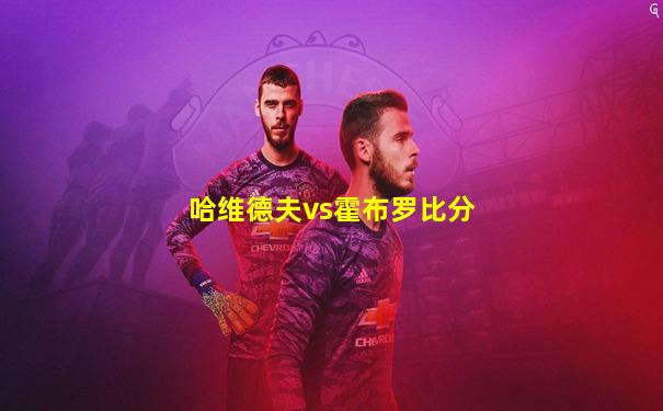 哈维德夫vs霍布罗比分