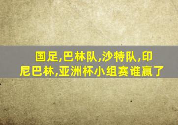 国足,巴林队,沙特队,印尼巴林,亚洲杯小组赛谁赢了