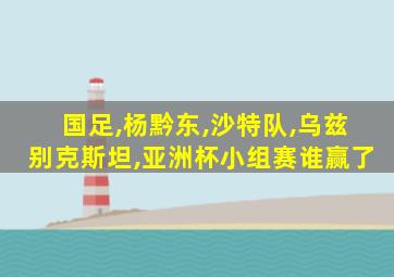 国足,杨黔东,沙特队,乌兹别克斯坦,亚洲杯小组赛谁赢了