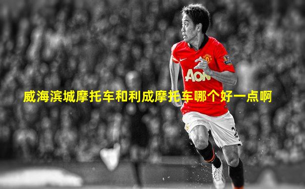 威海滨城摩托车和利成摩托车哪个好一点啊