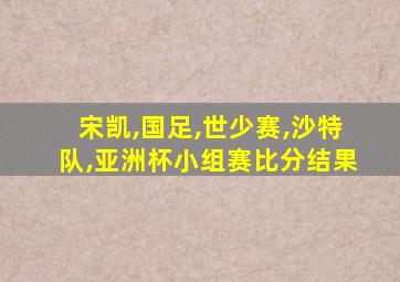 宋凯,国足,世少赛,沙特队,亚洲杯小组赛比分结果