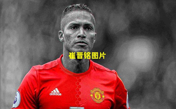 崔晋铭图片