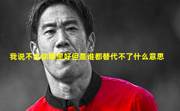 我说不出你哪里好但是谁都替代不了什么意思