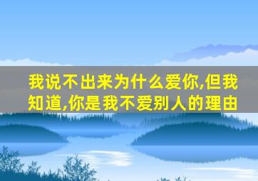 我说不出来为什么爱你,但我知道,你是我不爱别人的理由