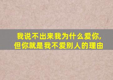 我说不出来我为什么爱你,但你就是我不爱别人的理由