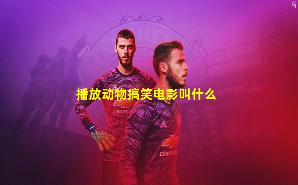 播放动物搞笑电影叫什么