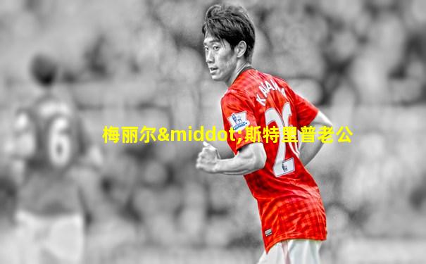 梅丽尔·斯特里普老公