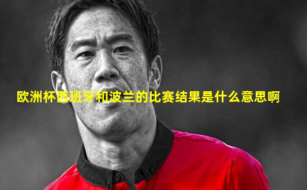 欧洲杯西班牙和波兰的比赛结果是什么意思啊