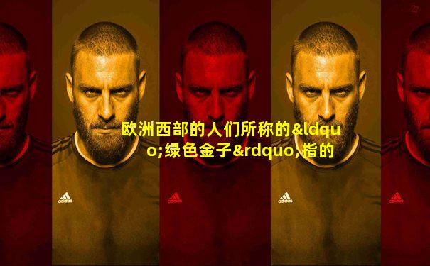 欧洲西部的人们所称的“绿色金子”指的是