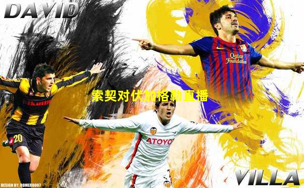 索契对伏加格勒直播