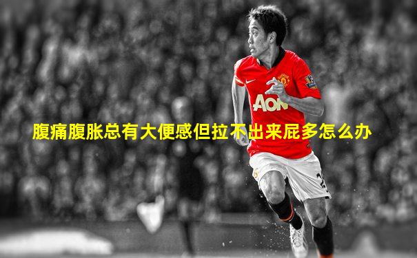 腹痛腹胀总有大便感但拉不出来屁多怎么办