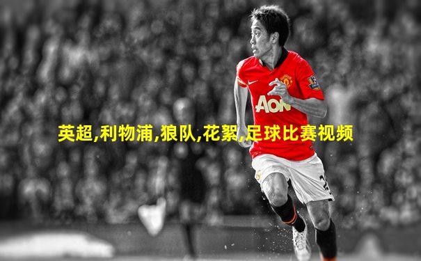 英超,利物浦,狼队,花絮,足球比赛视频