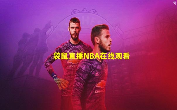 袋鼠直播NBA在线观看