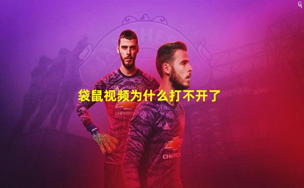 袋鼠视频为什么打不开了