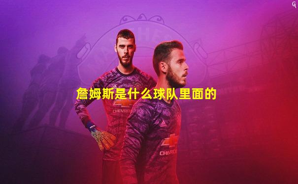詹姆斯是什么球队里面的