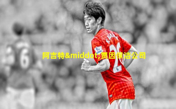 阿吉特·贾因保洁公司
